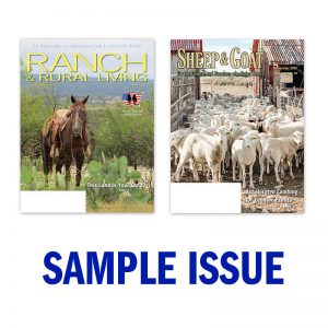 Sample Issue