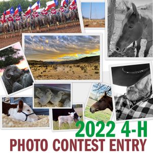 2022 Photo Contest 4-H Entry